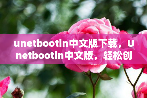 unetbootin中文版下载,Unetbootin中文版,轻松创建可启动USB的工具 unetbootin中文版下载,Unetbootin中文版,轻松创建可启动USB的工具