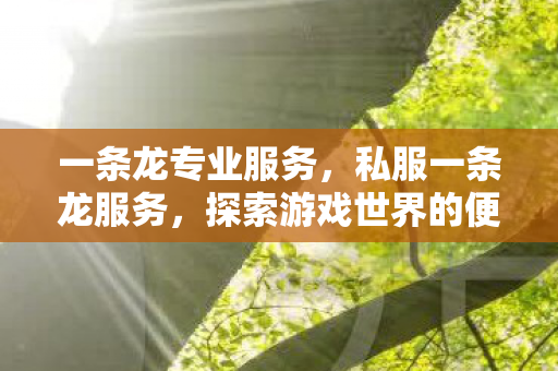 一条龙专业服务,私服一条龙服务,探索游戏世界的便捷之道 一条龙专业服务,私服一条龙服务,探索游戏世界的便捷之道
