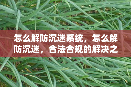 怎么解防沉迷系统，怎么解防沉迷，合法合规的解决之道