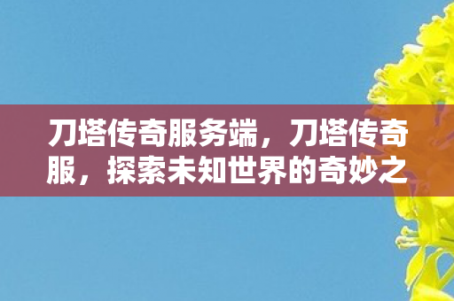 刀塔传奇服务端，刀塔传奇服，探索未知世界的奇妙之旅