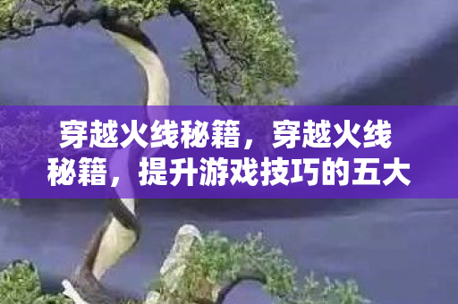 穿越火线秘籍,穿越火线 秘籍,提升游戏技巧的五大策略 穿越火线秘籍,穿越火线 秘籍,提升游戏技巧的五大策略