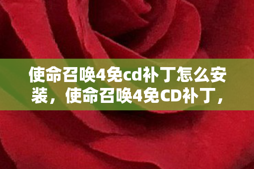 使命召唤4免cd补丁怎么安装,使命召唤4免CD补丁,游戏爱好者的必备工具 使命召唤4免cd补丁怎么安装,使命召唤4免CD补丁,游戏爱好者的必备工具