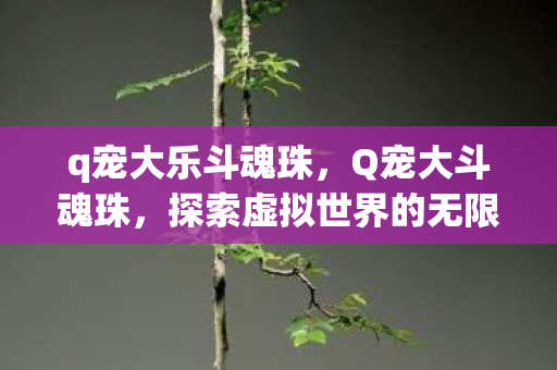 q宠大乐斗魂珠，Q宠大斗魂珠，探索虚拟世界的无限可能