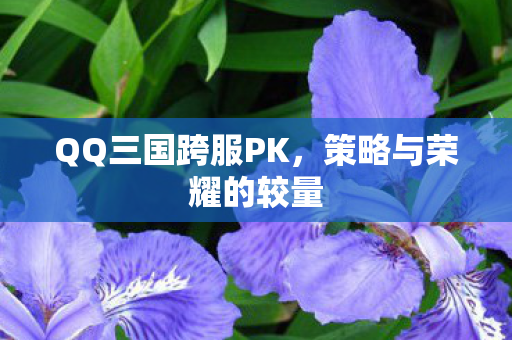QQ三国跨服PK,策略与荣耀的较量 QQ三国跨服PK,策略与荣耀的较量