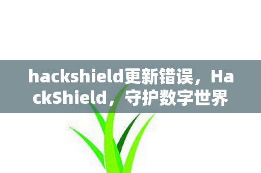 hackshield更新错误，HackShield，守护数字世界的隐形盾牌