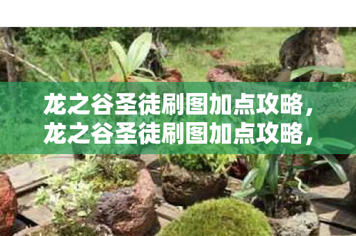 龙之谷圣徒刷图加点攻略，龙之谷圣徒刷图加点攻略，打造高效刷图圣徒