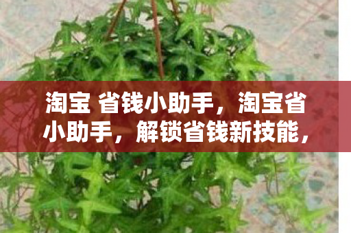 淘宝 省钱小助手,淘宝省小助手,解锁省钱新技能,尽享购物优惠 淘宝 省钱小助手,淘宝省小助手,解锁省钱新技能,尽享购物优惠