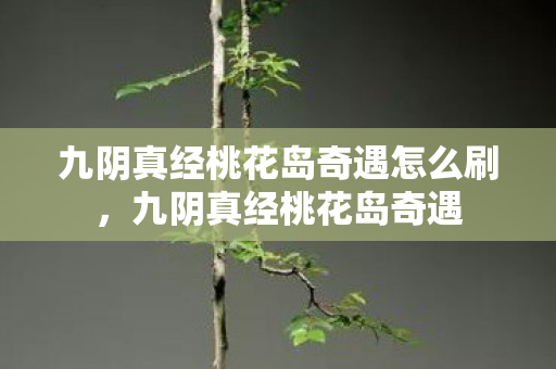 九阴真经桃花岛奇遇怎么刷,九阴真经桃花岛奇遇 九阴真经桃花岛奇遇怎么刷,九阴真经桃花岛奇遇