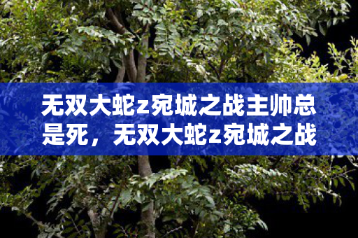 无双大蛇z宛城之战主帅总是死,无双大蛇z宛城之战,策略与勇气的碰撞 无双大蛇z宛城之战主帅总是死,无双大蛇z宛城之战,策略与勇气的碰撞