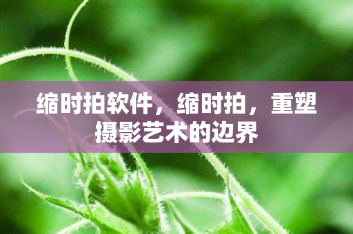 缩时拍软件,缩时拍,重塑摄影艺术的边界 缩时拍软件,缩时拍,重塑摄影艺术的边界