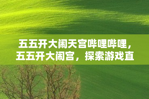 五五开大闹天宫哔哩哔哩,五五开大闹宫,探索游戏直播界的另类狂欢 五五开大闹天宫哔哩哔哩,五五开大闹宫,探索游戏直播界的另类狂欢