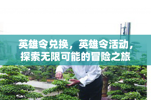 英雄令兑换,英雄令活动,探索无限可能的冒险之旅 英雄令兑换,英雄令活动,探索无限可能的冒险之旅