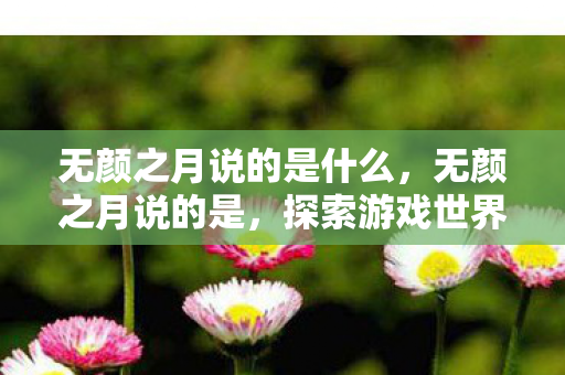 无颜之月说的是什么,无颜之月说的是,探索游戏世界的多元体验与社区文化 无颜之月说的是什么,无颜之月说的是,探索游戏世界的多元体验与社区文化