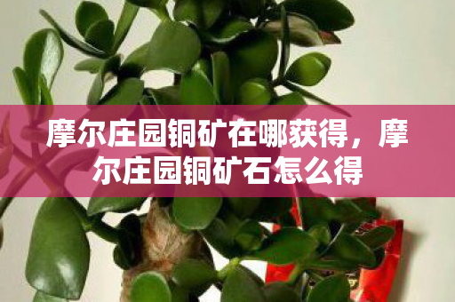 摩尔庄园铜矿在哪获得,摩尔庄园铜矿石怎么得 摩尔庄园铜矿在哪获得,摩尔庄园铜矿石怎么得