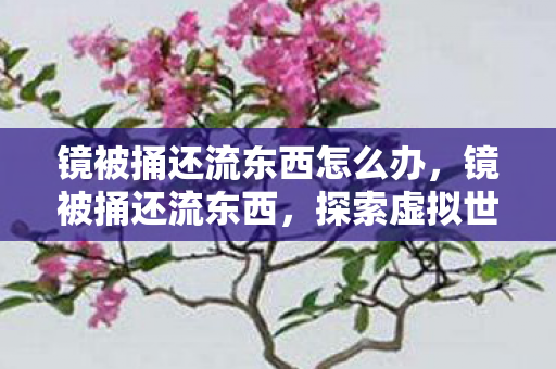 镜被捅还流东西怎么办,镜被捅还流东西,探索虚拟世界的意外之旅 镜被捅还流东西怎么办,镜被捅还流东西,探索虚拟世界的意外之旅