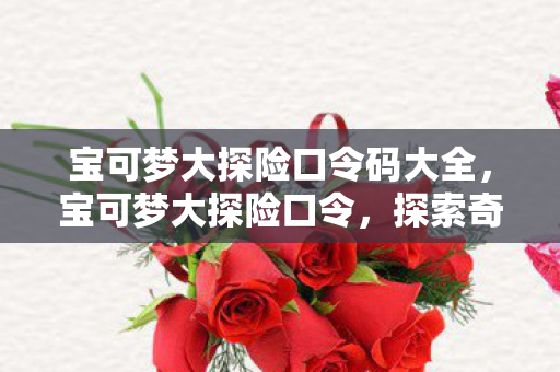 宝可梦大探险口令码大全，宝可梦大探险口令，探索奇妙世界的神秘钥匙