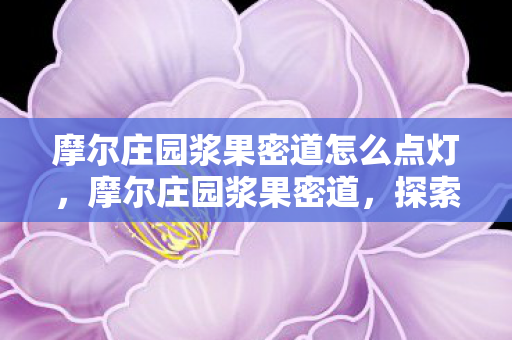 摩尔庄园浆果密道怎么点灯,摩尔庄园浆果密道,探索神秘与奇幻的庄园之旅 摩尔庄园浆果密道怎么点灯,摩尔庄园浆果密道,探索神秘与奇幻的庄园之旅