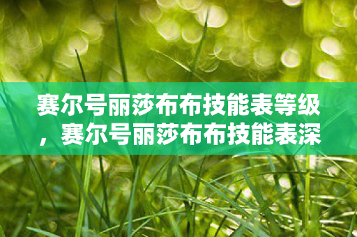 赛尔号丽莎布布技能表等级，赛尔号丽莎布布技能表深度解析