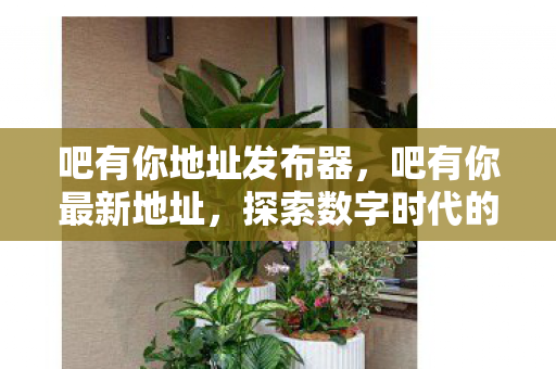 吧有你地址发布器，吧有你最新地址，探索数字时代的文化交流新平台