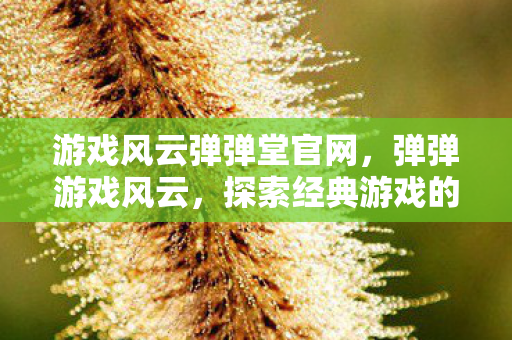 游戏风云弹弹堂官网,弹弹游戏风云,探索经典游戏的魅力与变迁 游戏风云弹弹堂官网,弹弹游戏风云,探索经典游戏的魅力与变迁