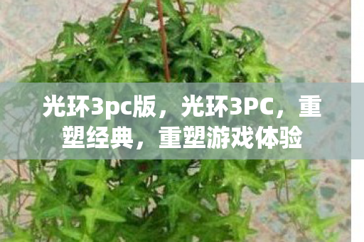光环3pc版,光环3PC,重塑经典,重塑游戏体验 光环3pc版,光环3PC,重塑经典,重塑游戏体验