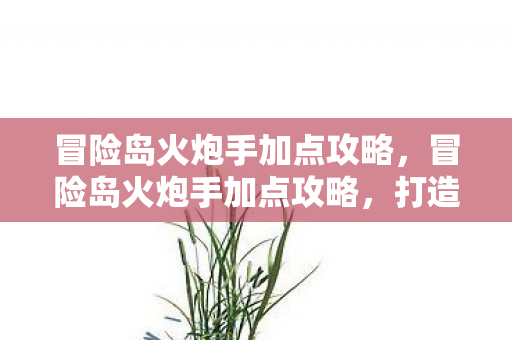 冒险岛火炮手加点攻略，冒险岛火炮手加点攻略，打造高效战斗火力