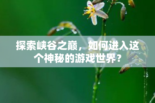 探索峡谷之巅，如何进入这个神秘的游戏世界？