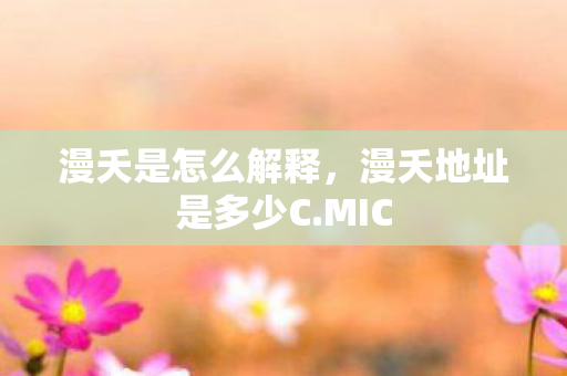 漫夭是怎么解释,漫夭地址是多少C.MIC 漫夭是怎么解释,漫夭地址是多少C.MIC