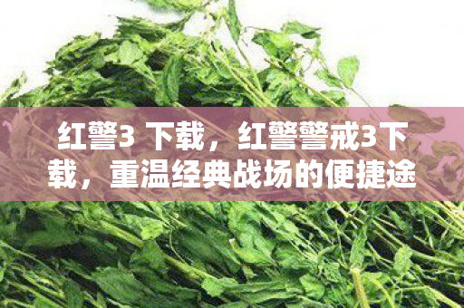 红警3 下载,红警警戒3下载,重温经典战场的便捷途径 红警3 下载,红警警戒3下载,重温经典战场的便捷途径