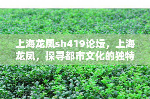 上海龙凤sh419论坛,上海龙凤,探寻都市文化的独特魅力 上海龙凤sh419论坛,上海龙凤,探寻都市文化的独特魅力