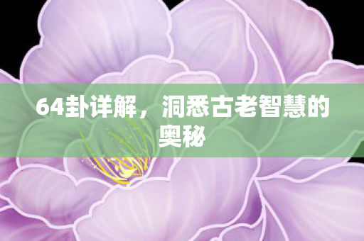 64卦详解,洞悉古老智慧的奥秘 64卦详解,洞悉古老智慧的奥秘
