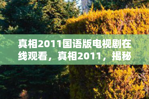 真相2011国语版电视剧在线观看,真相2011,揭秘游戏服务器背后的运营秘密 真相2011国语版电视剧在线观看,真相2011,揭秘游戏服务器背后的运营秘密