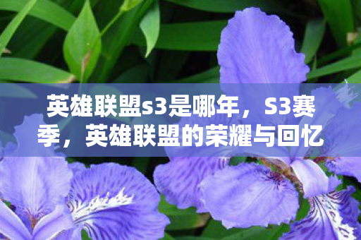 英雄联盟s3是哪年,S3赛季,英雄联盟的荣耀与回忆 英雄联盟s3是哪年,S3赛季,英雄联盟的荣耀与回忆