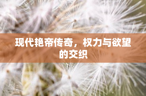 现代艳帝传奇，权力与欲望的交织