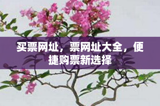买票网址,票网址大全,便捷购票新选择 买票网址,票网址大全,便捷购票新选择