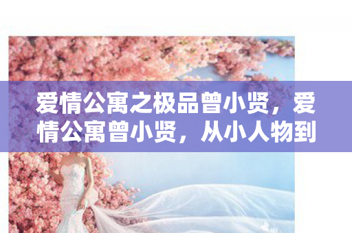 爱情公寓之极品曾小贤,爱情公寓曾小贤,从小人物到大明星的蜕变 爱情公寓之极品曾小贤,爱情公寓曾小贤,从小人物到大明星的蜕变