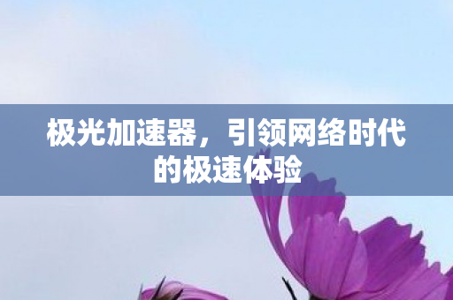 极光加速器,引领网络时代的极速体验 极光加速器,引领网络时代的极速体验