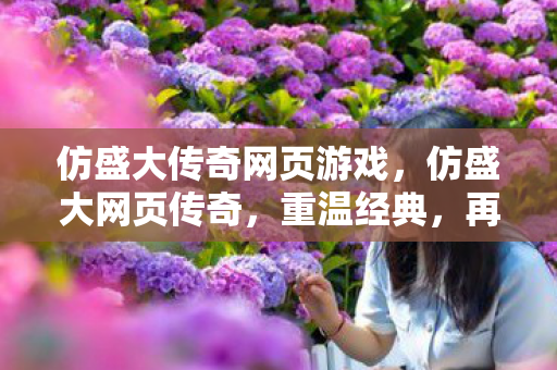 仿盛大传奇网页游戏,仿盛大网页传奇,重温经典,再续传奇 仿盛大传奇网页游戏,仿盛大网页传奇,重温经典,再续传奇