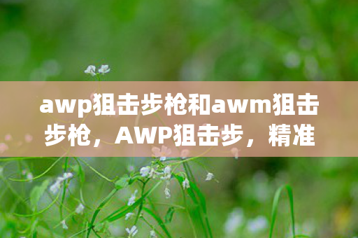 awp狙击步枪和awm狙击步枪，AWP狙击步，精准与速度的完美结合