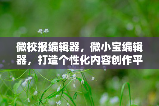 微校报编辑器，微小宝编辑器，打造个性化内容创作平台的利器