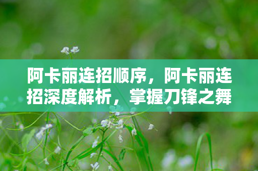 阿卡丽连招顺序,阿卡丽连招深度解析,掌握刀锋之舞 阿卡丽连招顺序,阿卡丽连招深度解析,掌握刀锋之舞