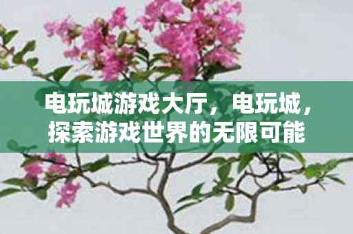 电玩城游戏大厅,电玩城,探索游戏世界的无限可能 电玩城游戏大厅,电玩城,探索游戏世界的无限可能