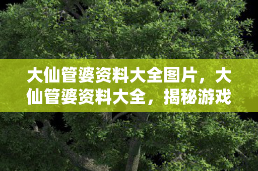 大仙管婆资料大全图片,大仙管婆资料大全,揭秘游戏世界的独特策略与技巧 大仙管婆资料大全图片,大仙管婆资料大全,揭秘游戏世界的独特策略与技巧