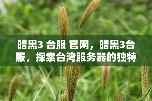 暗黑3 台服 官网,暗黑3台服,探索台湾服务器的独特魅力 暗黑3 台服 官网,暗黑3台服,探索台湾服务器的独特魅力