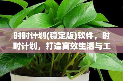 时时计划(稳定版)软件,时时计划,打造高效生活与工作的时间管理策略 时时计划(稳定版)软件,时时计划,打造高效生活与工作的时间管理策略