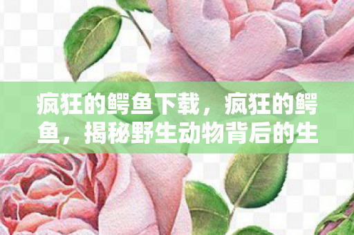 疯狂的鳄鱼下载,疯狂的鳄鱼,揭秘野生动物背后的生存挑战与保护困境 疯狂的鳄鱼下载,疯狂的鳄鱼,揭秘野生动物背后的生存挑战与保护困境
