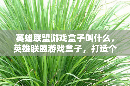 英雄联盟游戏盒子叫什么,英雄联盟游戏盒子,打造个性化游戏体验 英雄联盟游戏盒子叫什么,英雄联盟游戏盒子,打造个性化游戏体验