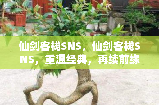 仙剑客栈SNS,仙剑客栈SNS,重温经典,再续前缘 仙剑客栈SNS,仙剑客栈SNS,重温经典,再续前缘