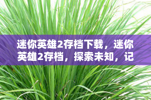 迷你英雄2存档下载,迷你英雄2存档,探索未知,记录你的传奇旅程 迷你英雄2存档下载,迷你英雄2存档,探索未知,记录你的传奇旅程