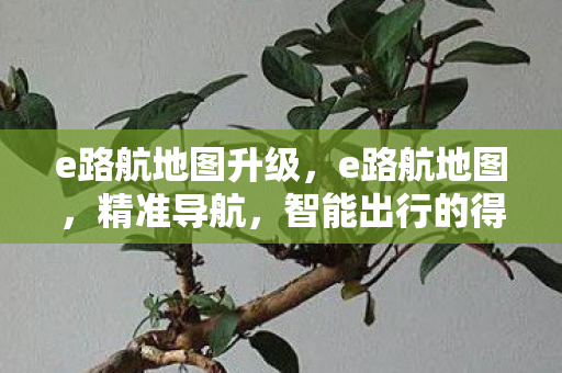 e路航地图升级,e路航地图,精准导航,智能出行的得力助手 e路航地图升级,e路航地图,精准导航,智能出行的得力助手